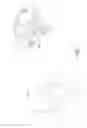 Fig. 09 - Passive middle ear prosthesis