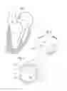 Fig. 02 - Methods for anchoring a device at a native heart valve annulus