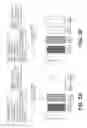 Fig. 04 - Pharmaceutical compositions and uses directed to lysosomal storage disorders