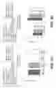 Fig. 05 - Pharmaceutical compositions and uses directed to lysosomal storage disorders