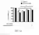 Fig. 05 - Method for Treating or Preventing Fatty Acid Binding Protein 3 Induced B-amyloid Aggregation Diseases