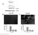 Fig. 06 - METHODS AND COMPOSITIONS FOR TREATMENT OF LIPID STORAGE DISORDERS