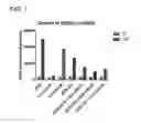 Fig. 32 - Methods and compositions for treating non-ERK MAPK pathway inhibitor-resistant cancers
