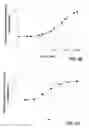 Fig. 03 - Compounds and methods for the treatment of cancer