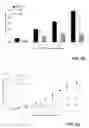 Fig. 09 - Compounds and methods for the treatment of cancer