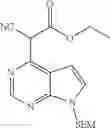 Fig. 48 - Pyrrolopyrimidine compound