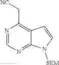 Fig. 49 - Pyrrolopyrimidine compound