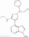 Fig. 61 - Pyrrolopyrimidine compound