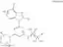 Fig. 14 - COMBINATION THERAPY