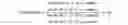 Fig. 05 - TRACE AMINE ASSOCIATED RECEPTOR 1 AGONISTS AND PARTIAL AGONISTS FOR PAIN TREATMENT