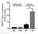 Fig. 01 - INHIBITORS OF ENPP1 AND METHODS OF USING SAME