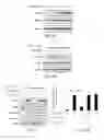 Fig. 04 - TREATING OCULAR NEOVASCULARIZATION