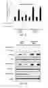 Fig. 10 - TREATING OCULAR NEOVASCULARIZATION