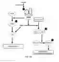 Fig. 46 - TREATING OCULAR NEOVASCULARIZATION