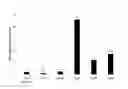 Fig. 01 - EX VIVO METHODS OF INDUCING IDO EXPRESSION IN ANTIGEN PRESENTING CELLS USING A COMPOUND SELECTED FROM THE GROUP CONSISTING OF AZACYTIDINE, AND DECITABINE