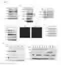 Fig. 04 - Modulators of vault RNAs for use in the treatment of diseases