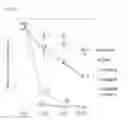 Fig. 16 - Hemostatic composition comprising cross-linked hyaluronic acid derivative matrix
