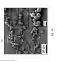 Fig. 04 - SUSTAINED-RELEASE COMPOSITION, METHOD FOR FABRICATING, AND USE THEREOF