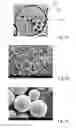 Fig. 08 - SUSTAINED-RELEASE COMPOSITION, METHOD FOR FABRICATING, AND USE THEREOF