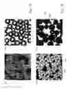 Fig. 09 - SUSTAINED-RELEASE COMPOSITION, METHOD FOR FABRICATING, AND USE THEREOF