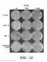 Fig. 15 - Methods for generating universal and custom MHC/HLA-compatible hematopoietic progenitor cells