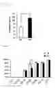 Fig. 04 - HETEROGENEOUS NICHE ACTIVITY IN MESENCHYMAL STROMAL CELL-BASED CELL THERAPY