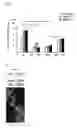 Fig. 16 - HETEROGENEOUS NICHE ACTIVITY IN MESENCHYMAL STROMAL CELL-BASED CELL THERAPY