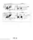 Fig. 04 - Mesenchymal stem cells and uses therefor