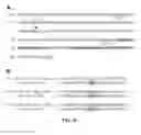 Fig. 09 - Methods and compositions for treating chronic granulomatous disease