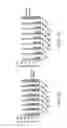 Fig. 03 - Genetically modified muscle cells which express neurotrophic factors