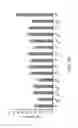 Fig. 04 - Genetically modified muscle cells which express neurotrophic factors