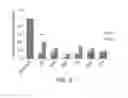 Fig. 06 - Genetically modified muscle cells which express neurotrophic factors