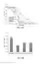 Fig. 10 - Genetically modified muscle cells which express neurotrophic factors
