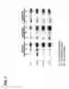 Fig. 08 - Engineered bacteria secreting therapeutic proteins and methods of use thereof