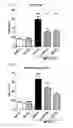 Fig. 03 - Method for preventing or treating movement disorders with lactic acid bacterium