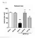 Fig. 04 - Method for preventing or treating movement disorders with lactic acid bacterium