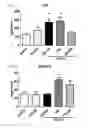 Fig. 08 - Method for preventing or treating movement disorders with lactic acid bacterium