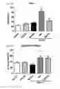 Fig. 09 - Method for preventing or treating movement disorders with lactic acid bacterium