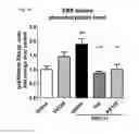 Fig. 11 - Method for preventing or treating movement disorders with lactic acid bacterium