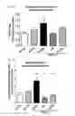 Fig. 12 - Method for preventing or treating movement disorders with lactic acid bacterium