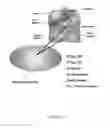 Fig. 05 - Compound and method for treatment of movement disorders