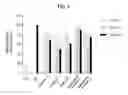 Fig. 04 - Preparation method of leaves extract and extract prepared by the method thereof