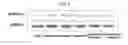 Fig. 06 - Preparation method of leaves extract and extract prepared by the method thereof