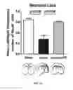 Fig. 06 - Compositions and methods for the treatment of neurodamage