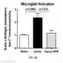 Fig. 07 - Compositions and methods for the treatment of neurodamage