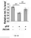 Fig. 09 - Compositions and methods for the treatment of neurodamage