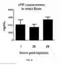 Fig. 13 - Compositions and methods for the treatment of neurodamage