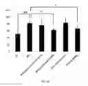 Fig. 31 - Compositions and methods for the treatment of neurodamage