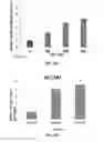 Fig. 40 - Compositions and methods for the treatment of neurodamage