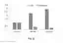 Fig. 42 - Compositions and methods for the treatment of neurodamage